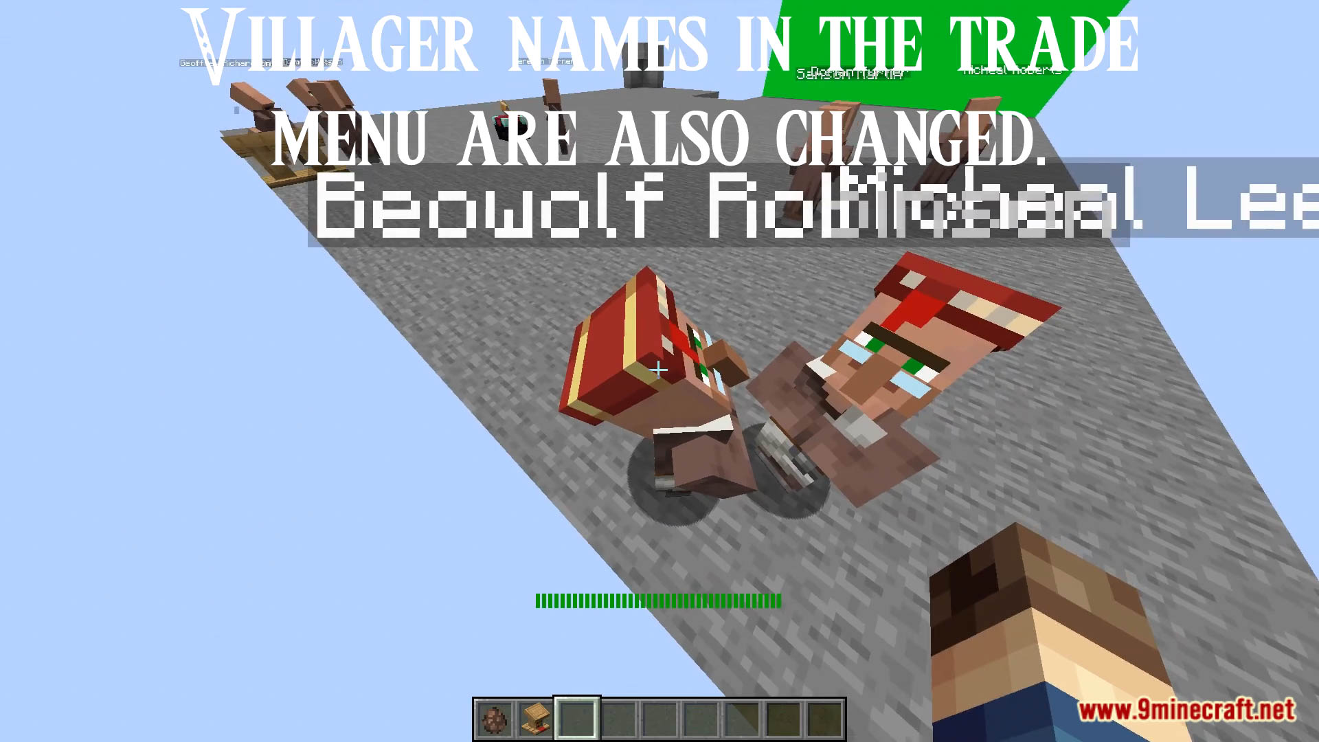 WASD Random Villager Names Data Pack (1.20.6, 1.20.1) - Villagers Have Names! 10