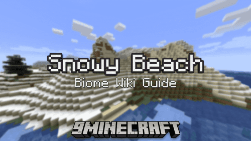 Snowy Beach Biome – Wiki Guide Thumbnail