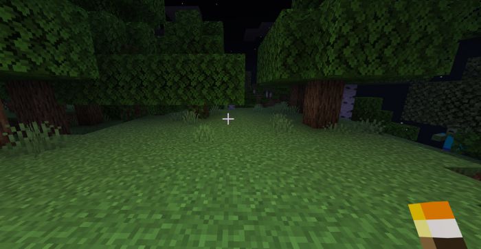 Torch OffHand Addon (1.20, 1.19) - MCPE/Bedrock Mod 3