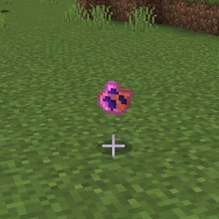 WitchCraft Addon (1.19) - MCPE/Bedrock Mod 16