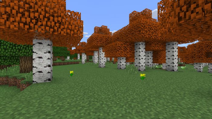 Autumn Birch Texture Pack (1.19) - MCPE/Bedrock 3