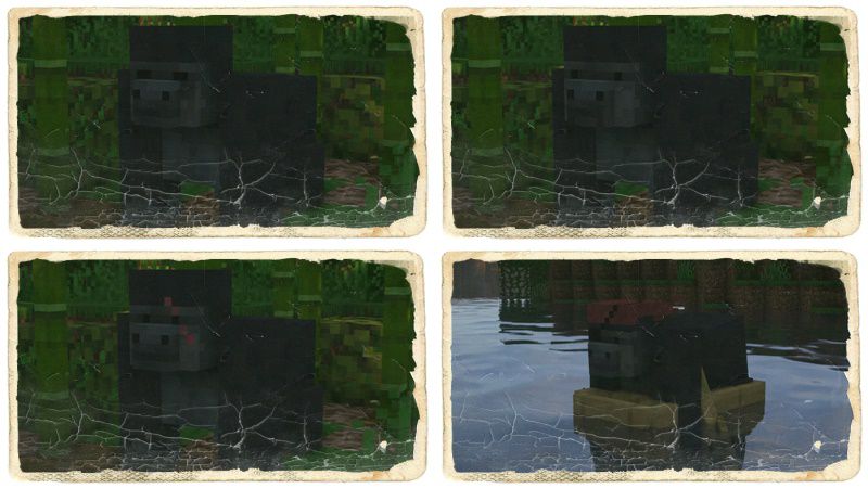 Gorillas Texture Pack (1.19) - Java/Bedrock Edition 5