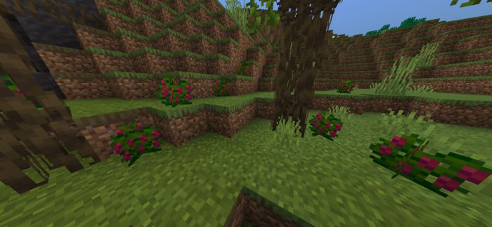 Vanilla Evolution Addon (1.19) - MCPE/Bedrock Mod 29