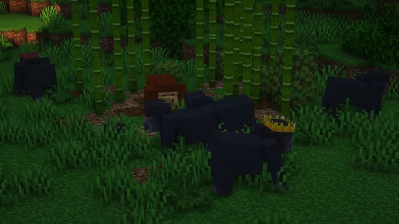 Gorillas Texture Pack (1.19) - Java/Bedrock Edition 4