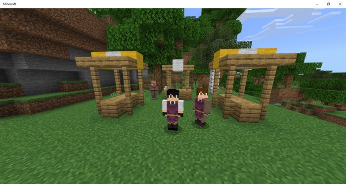 Vanilla Clothes Addon (1.19) - MCPE/Bedrock Mod 37