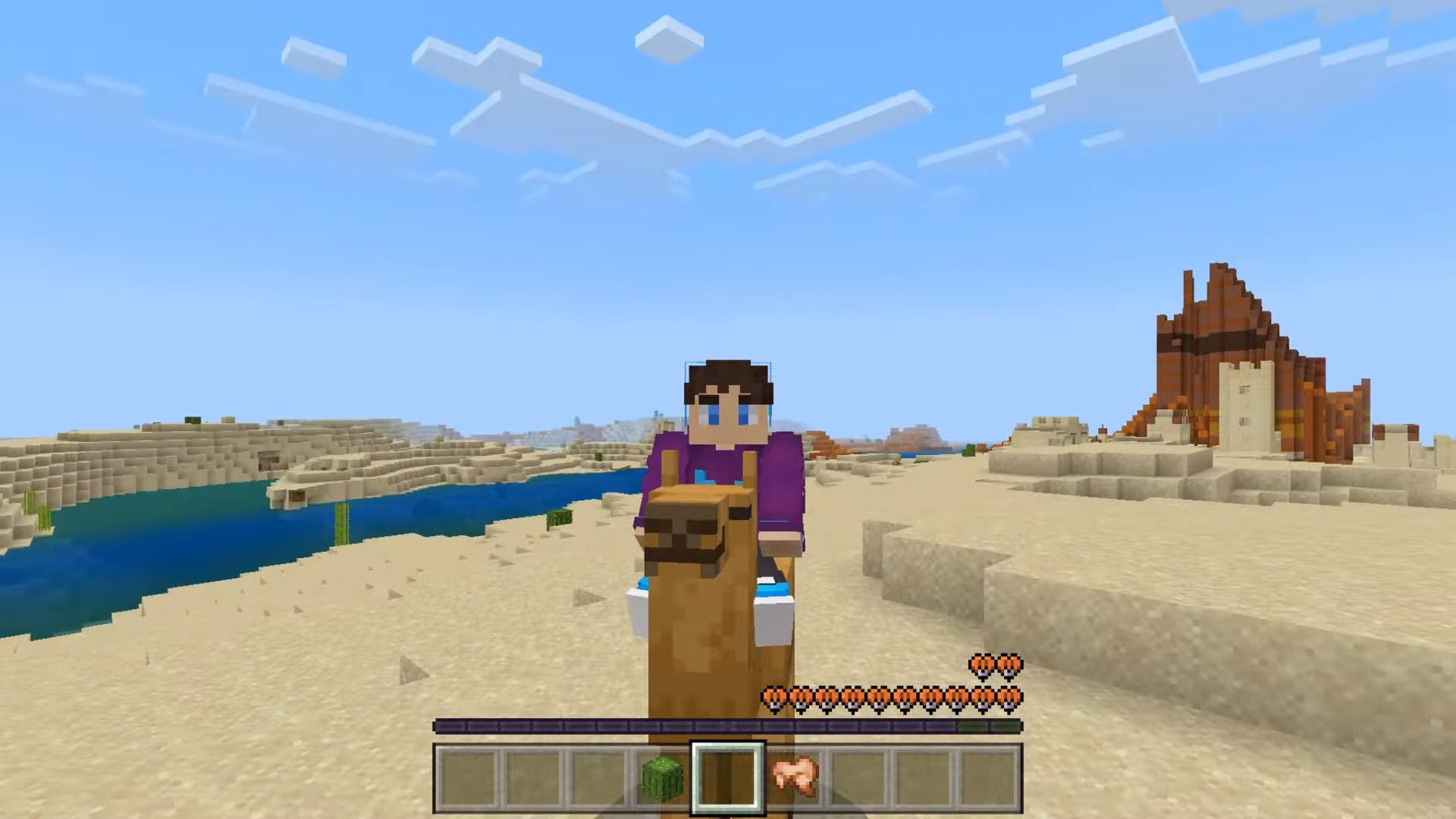 Minecraft 1.20 Addon - Camels Update 7