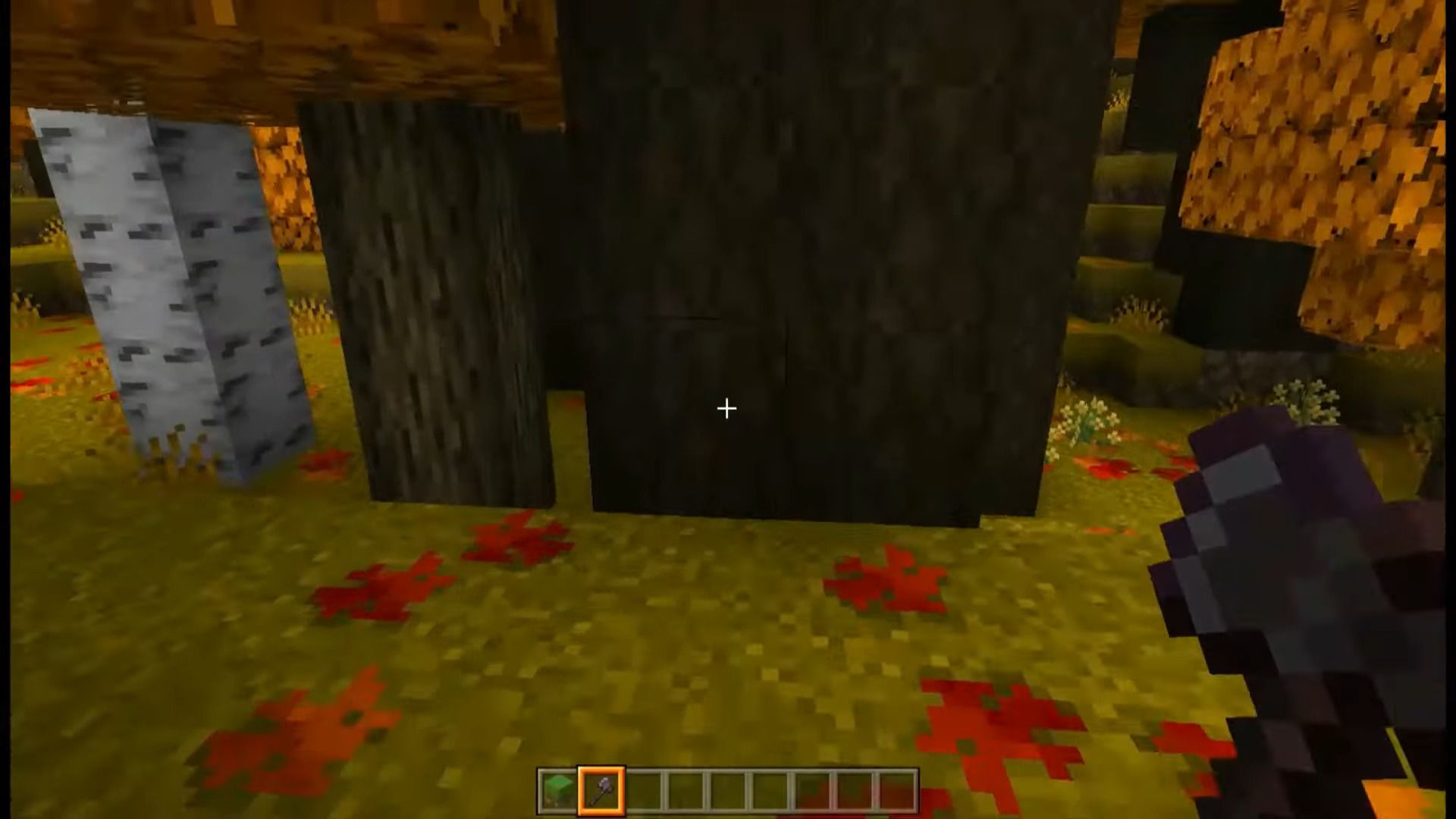 Autumn Texture Pack (1.19) - MCPE/Bedrock 9