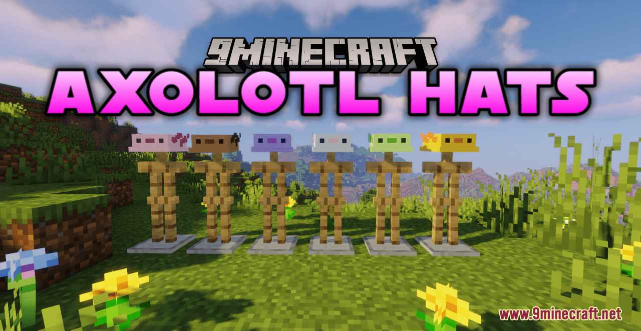 Axolotl Hats Resource Pack (1.20.6, 1.20.1) - Texture Pack 1