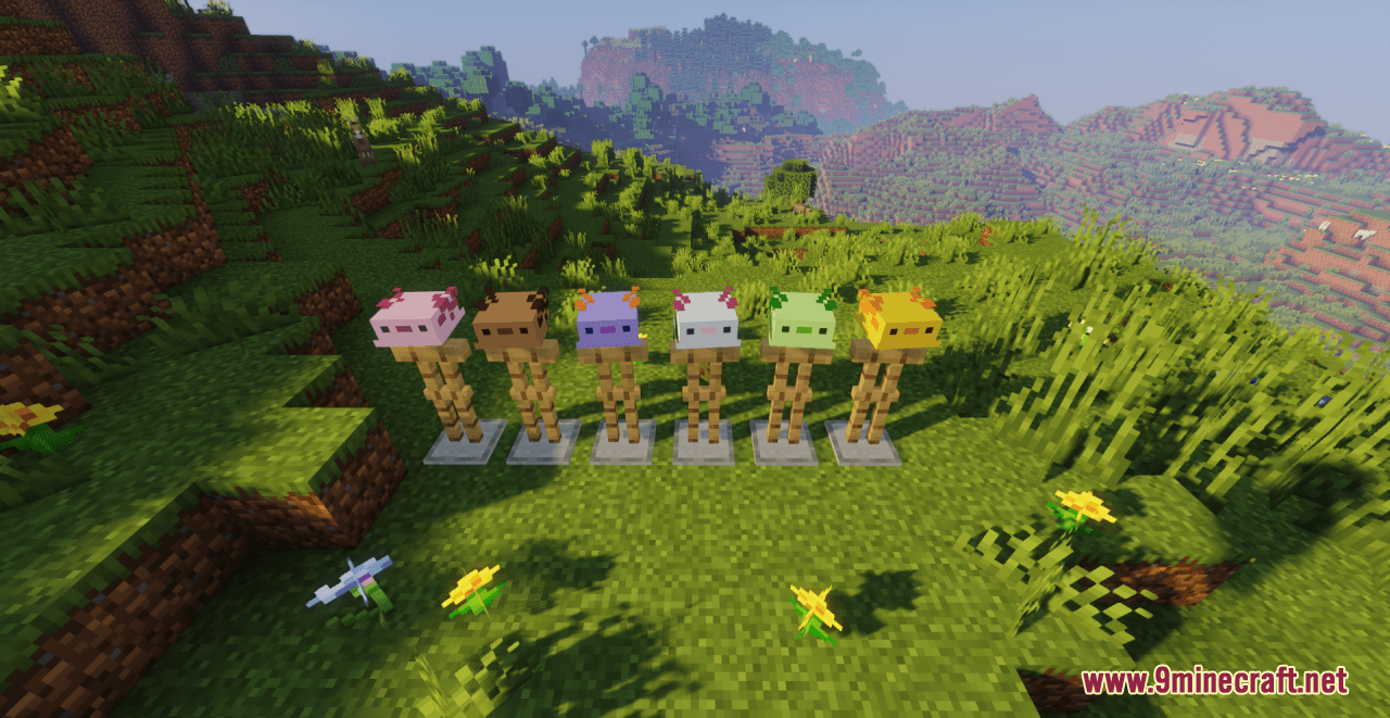 Axolotl Hats Resource Pack (1.20.6, 1.20.1) - Texture Pack 11