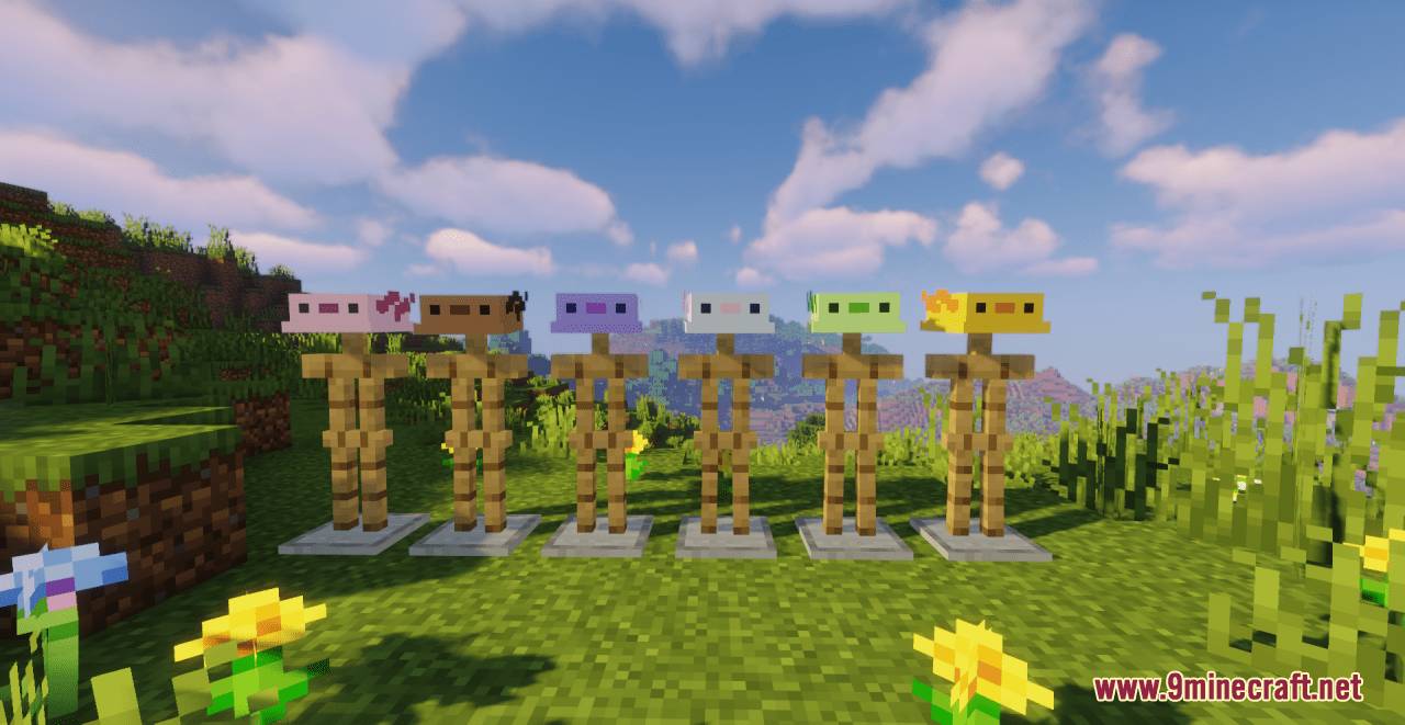 Axolotl Hats Resource Pack (1.20.6, 1.20.1) - Texture Pack 10