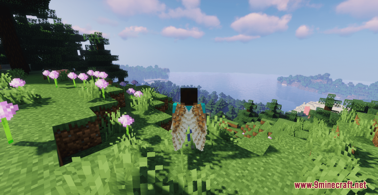 Barn Owl Wings Elytra Resource Pack (1.20.6, 1.20.1) - Texture Pack 4