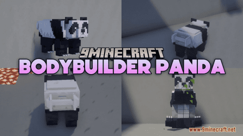 BodyBuilder Panda Resource Pack (1.20.6, 1.20.1) – Texture Pack Thumbnail