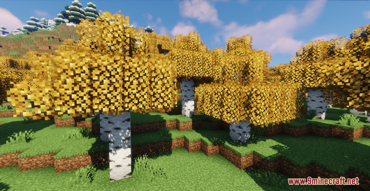 Bushy Biomes Resource Pack (1.20.6, 1.20.1) - Texture Pack 3