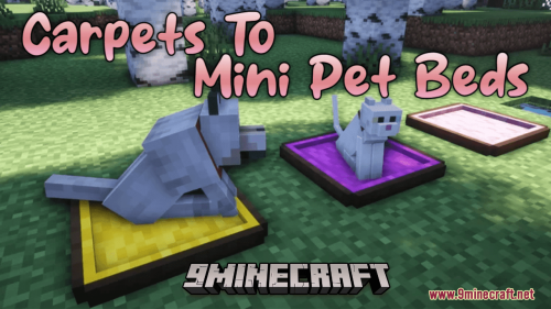 Carpets To Mini Pet Beds Resource Pack (1.20.6, 1.20.1) – Texture Pack Thumbnail