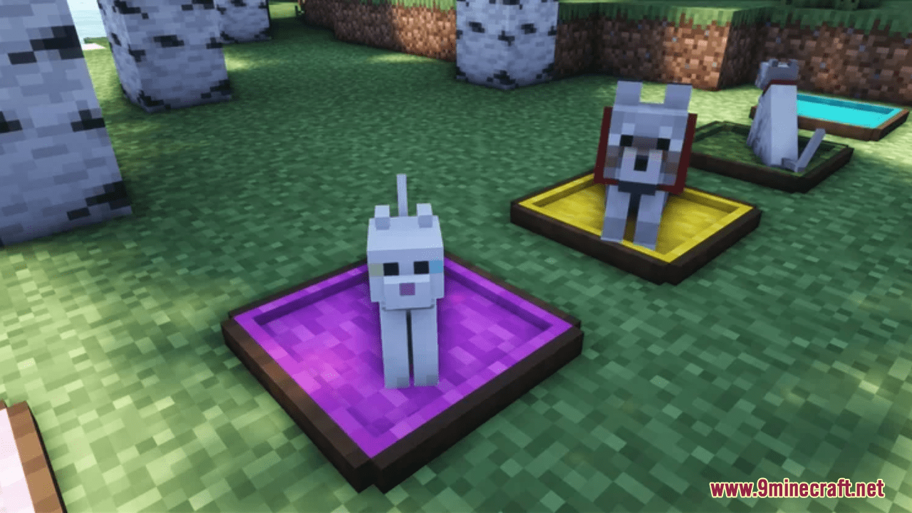 Carpets To Mini Pet Beds Resource Pack (1.20.6, 1.20.1) - Texture Pack 12