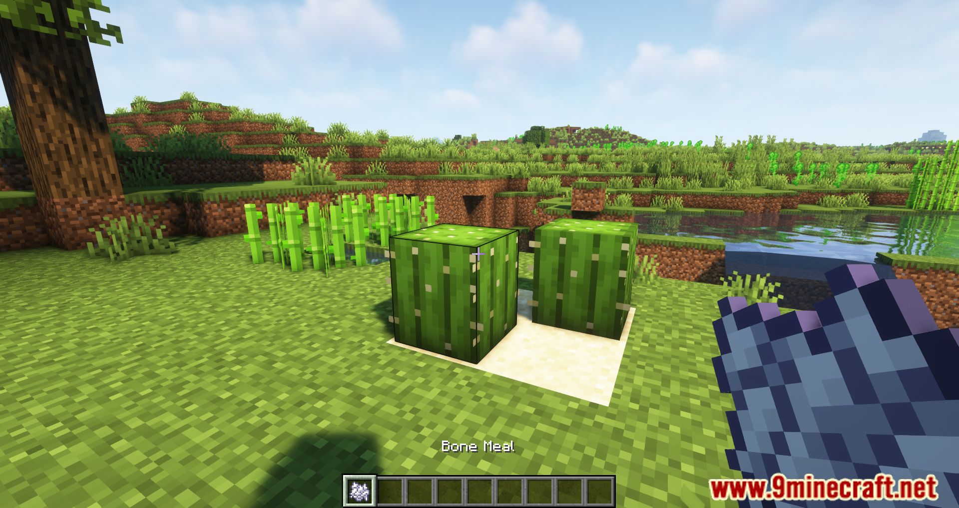 Extended Bone Meal Mod (1.20.4, 1.19.4) - Instant Grow Crops 2