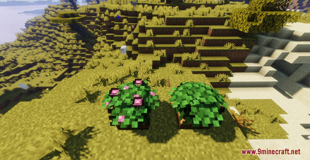 Kubban's Saplings Resource Pack (1.20.6, 1.20.1) - Texture Pack 2