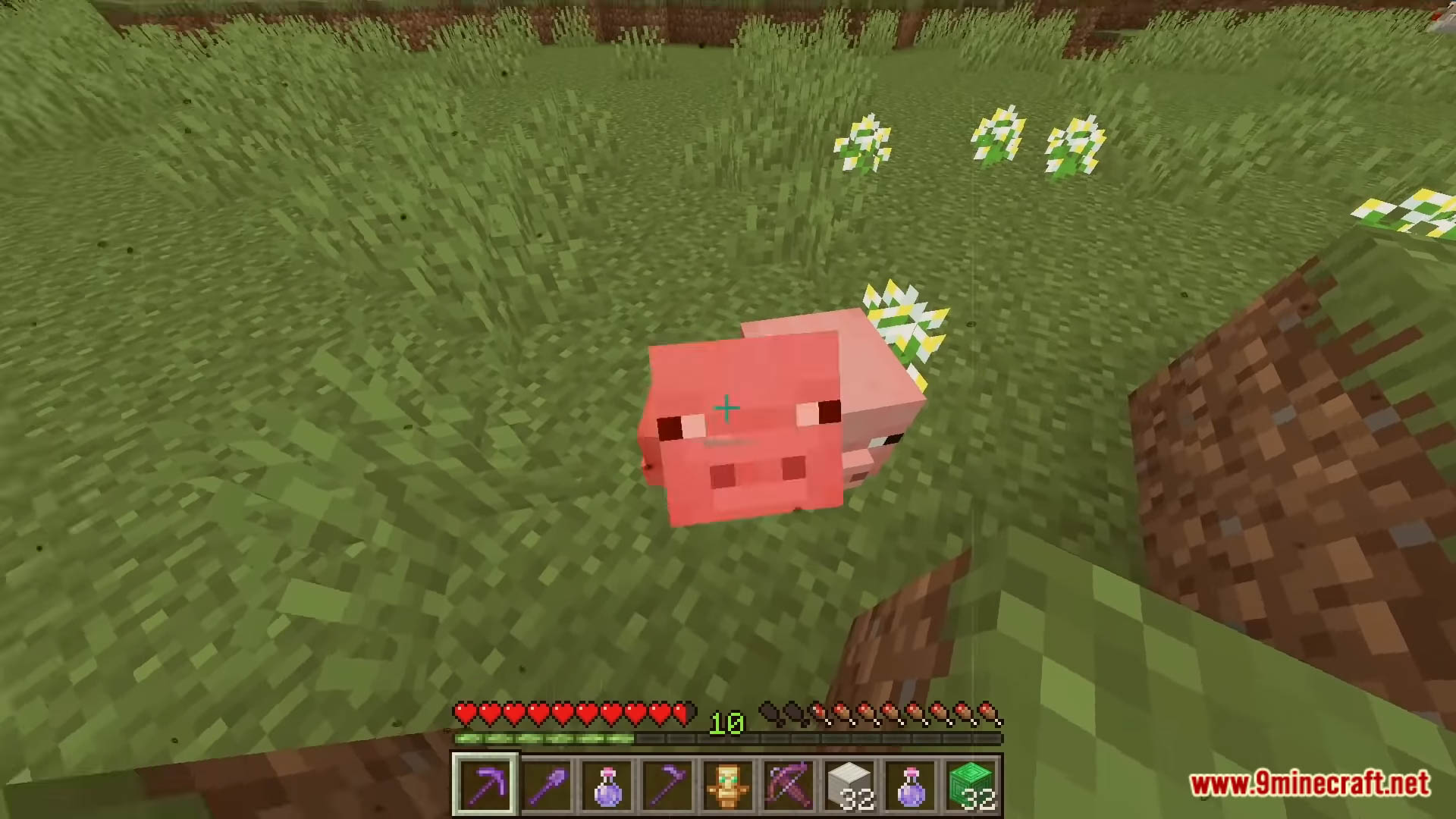 Minecraft But Killing Pigs Drop Op Items Data Pack (1.19.3,1.18.2) 7