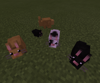 Mo' Creatures Addon (1.20, 1.19) - MCPE/Bedrock Mod 12