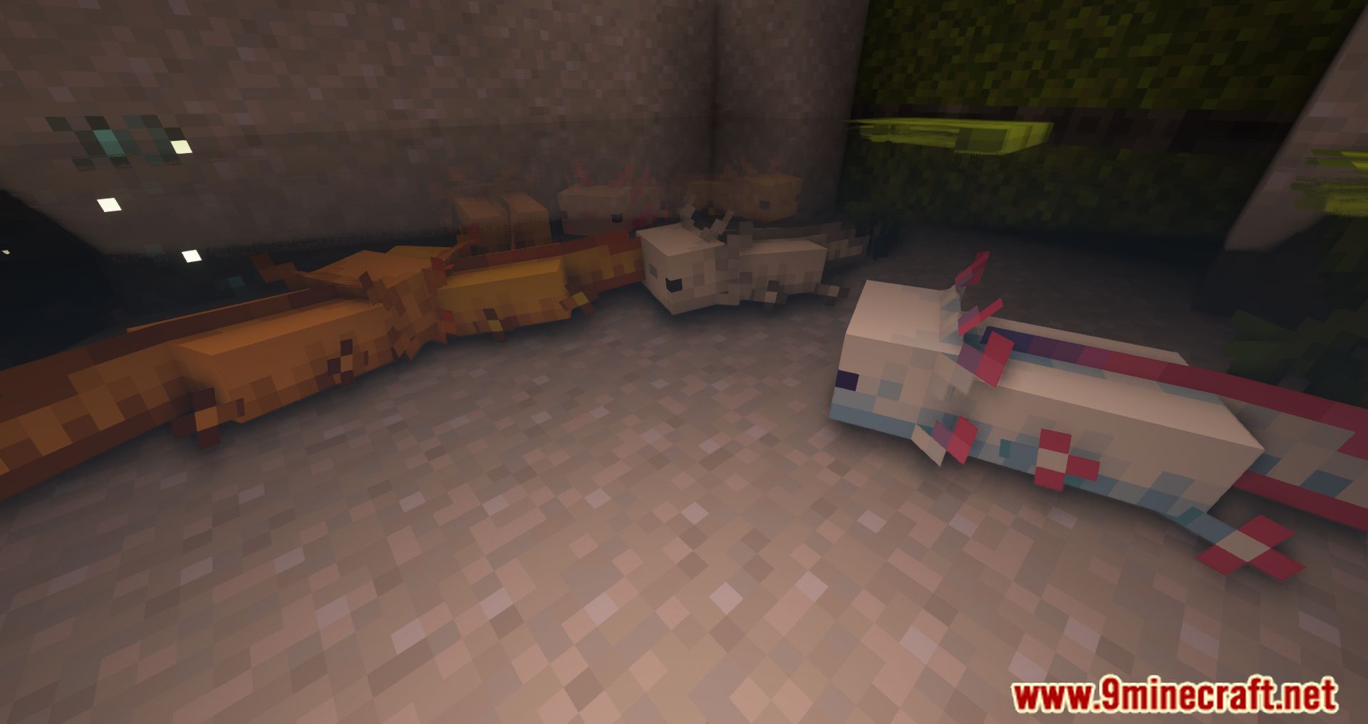 More Axolotl Variants Mod (1.20.4, 1.19.4) - More Adorable Creatures 9