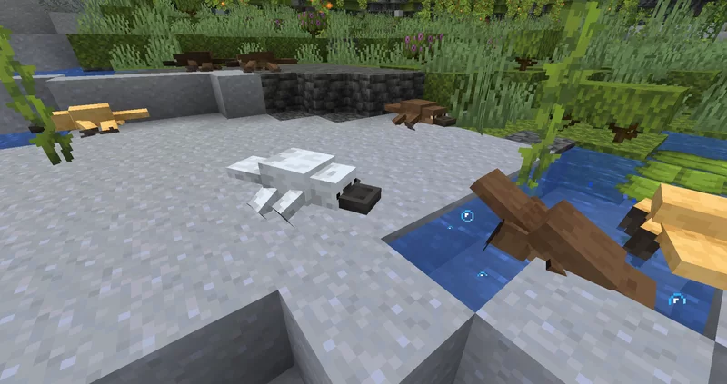 Platypus Axolotl Resource Pack (1.19) - Texture Pack 12