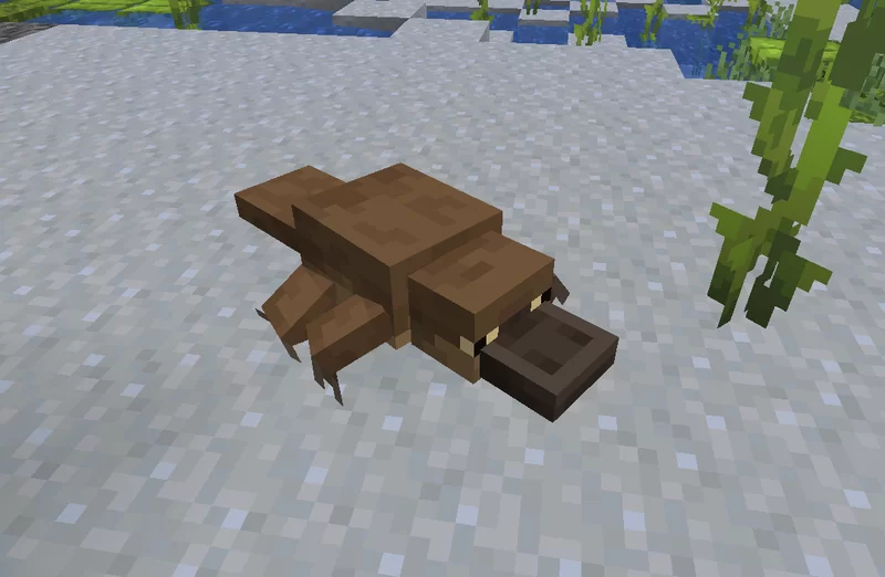 Platypus Axolotl Resource Pack (1.19) - Texture Pack 8