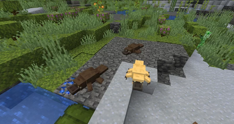 Platypus Axolotl Resource Pack (1.19) - Texture Pack 9