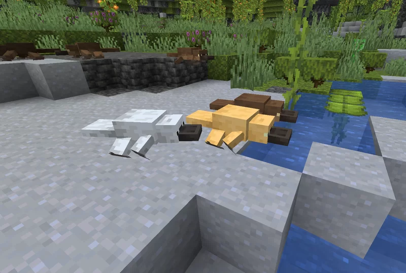 Platypus Axolotl Resource Pack (1.19) - Texture Pack 11