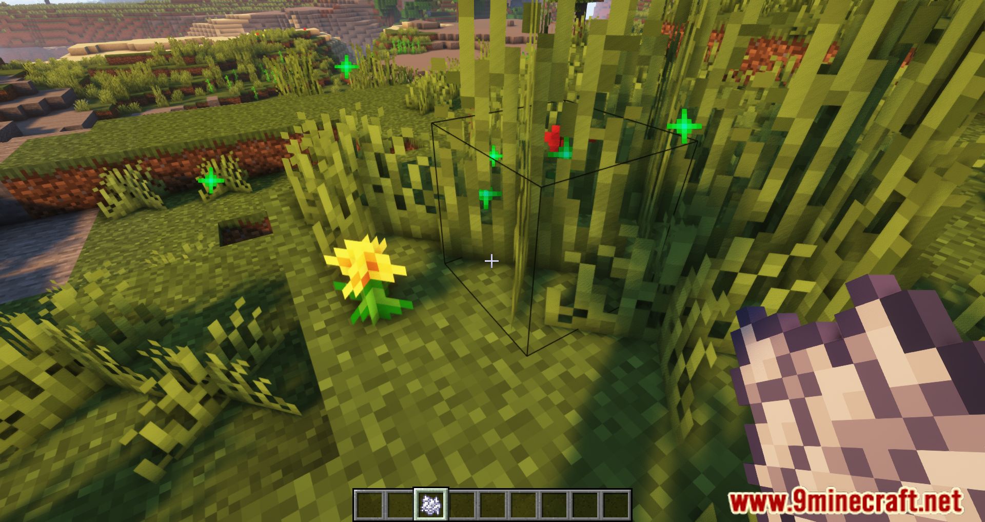 Random Bone Meal Flowers Mod (1.20.4, 1.19.4) - Randomizes The Flowers Spawned 4