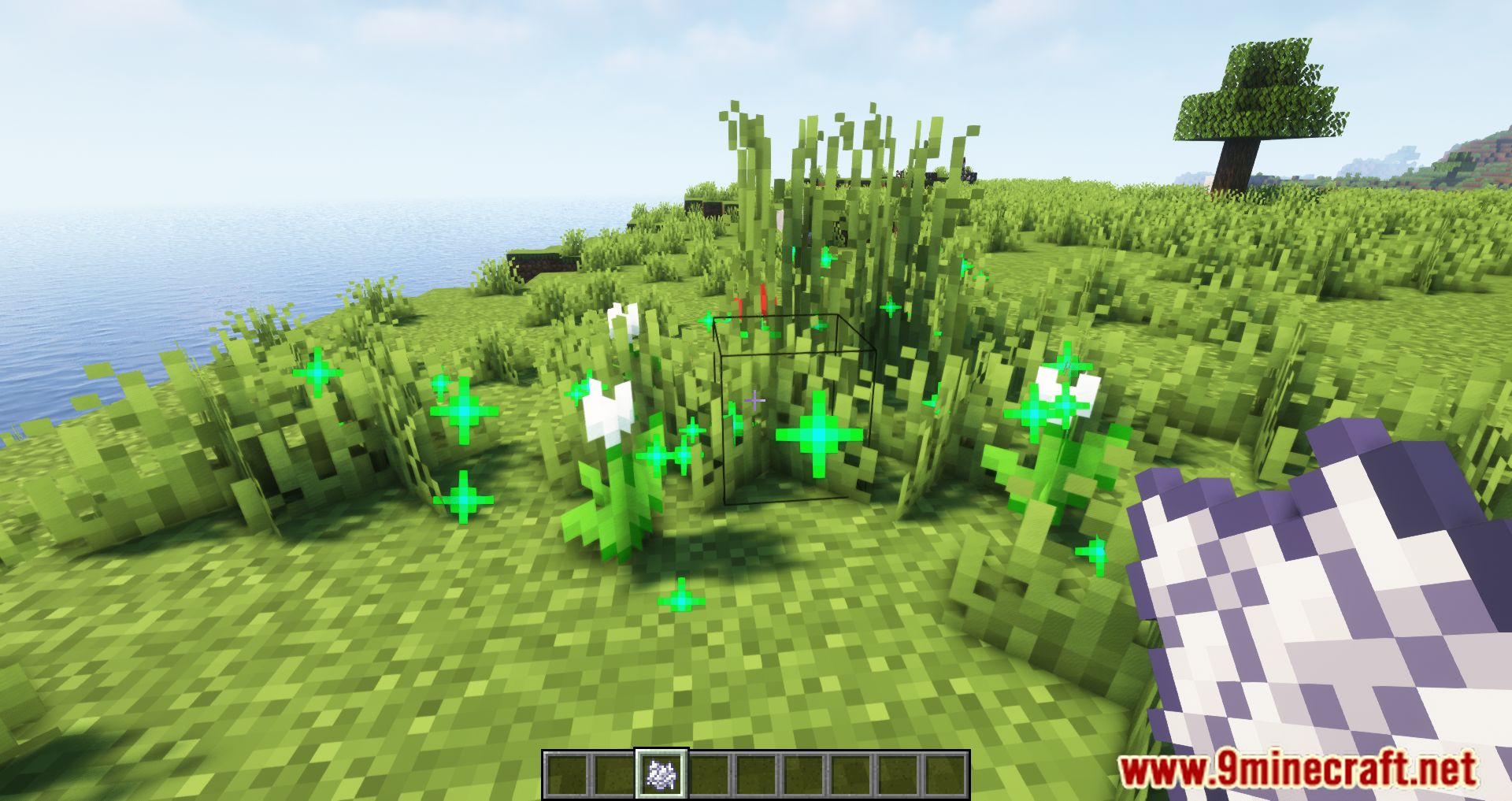 Random Bone Meal Flowers Mod (1.20.4, 1.19.4) - Randomizes The Flowers Spawned 6