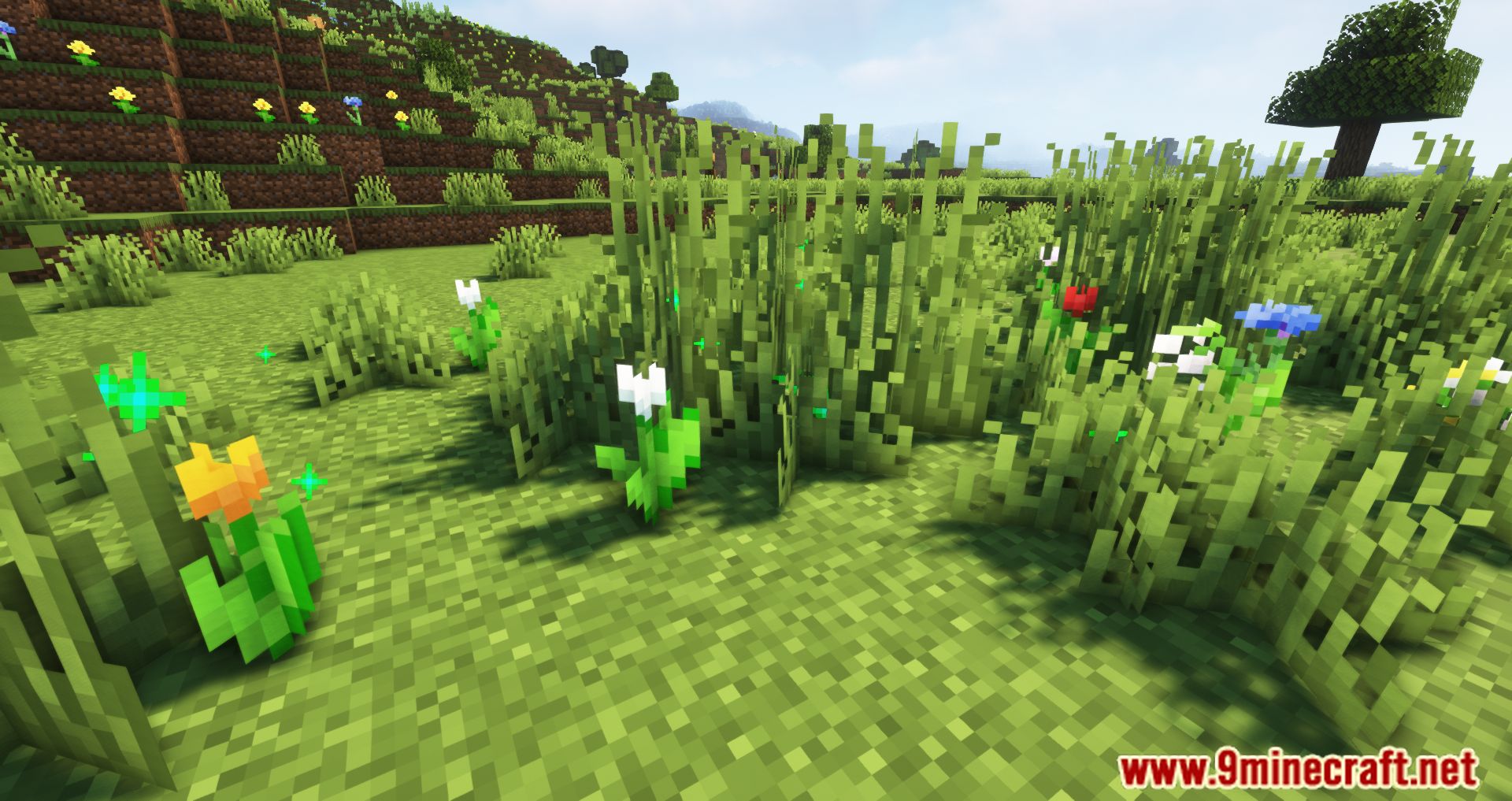 Random Bone Meal Flowers Mod (1.20.4, 1.19.4) - Randomizes The Flowers Spawned 10