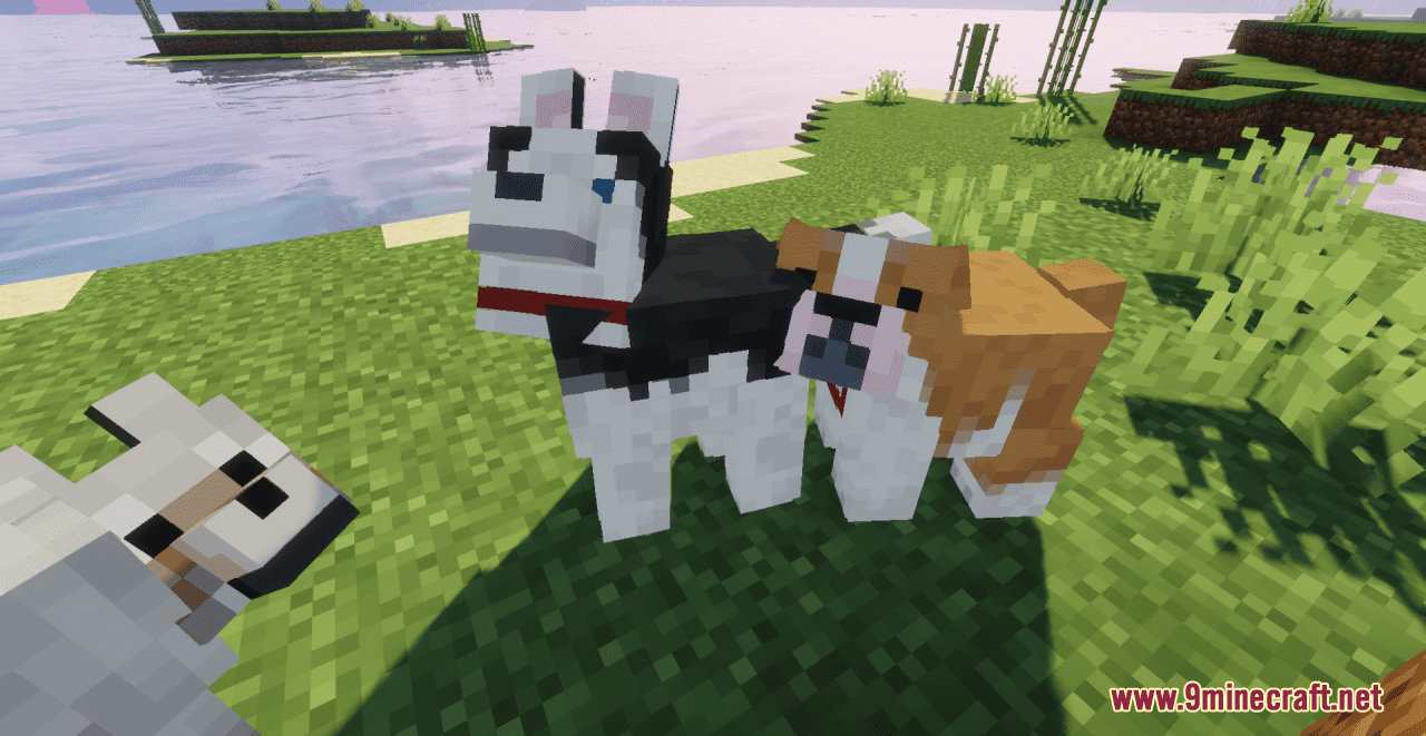 The Doggos Resource Pack (1.20.4, 1.19.4) - Texture Pack 14