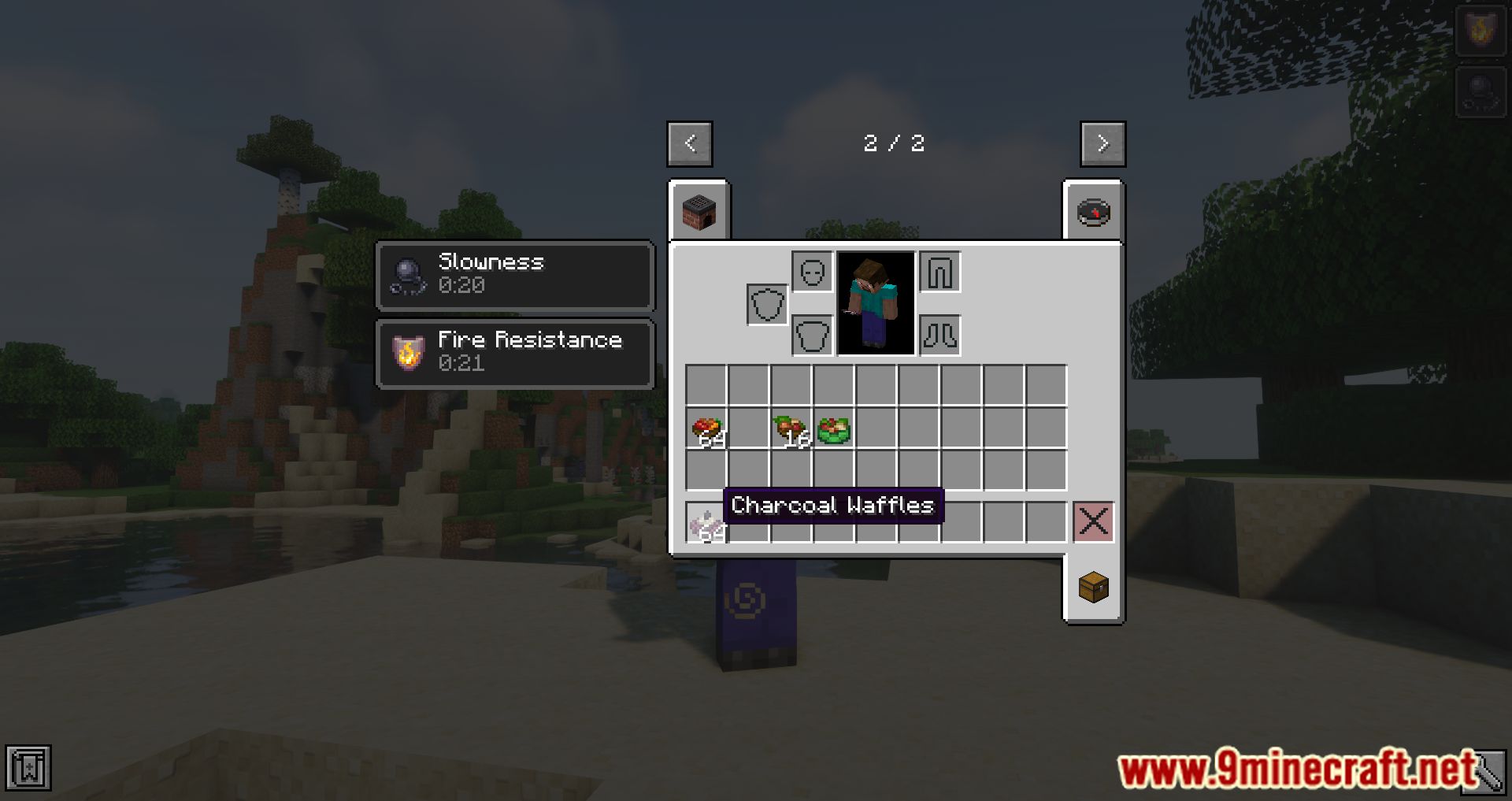 The Irregular Chef Mod (1.16.5) - Cook New Dishes 9