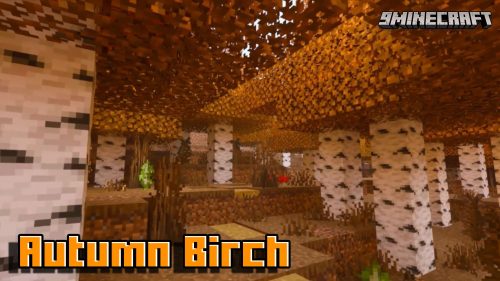 Autumn Birch Texture Pack (1.19) – MCPE/Bedrock Thumbnail