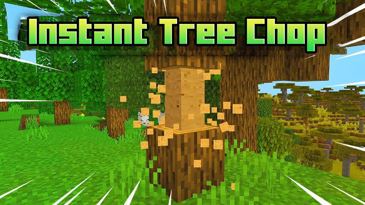 Instant Tree Chop Addon (1.20, 1.19) - MCPE/Bedrock Tree Decapitator Mod 1