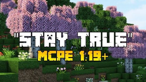 Stay True Texture Pack (1.19) – Nolag Support Render Dragon Thumbnail
