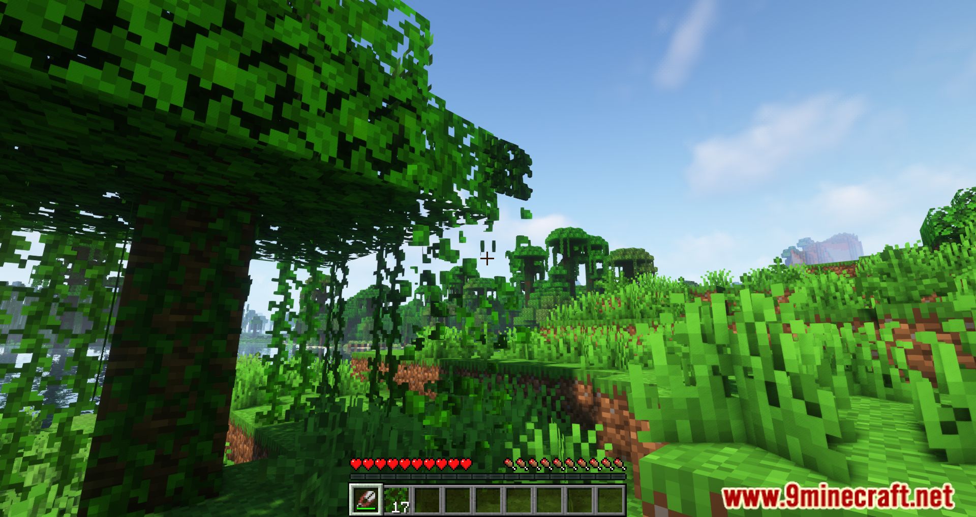 Vine Collector Mod (1.20.4, 1.19.2) - Easier To Harvest Vines 7