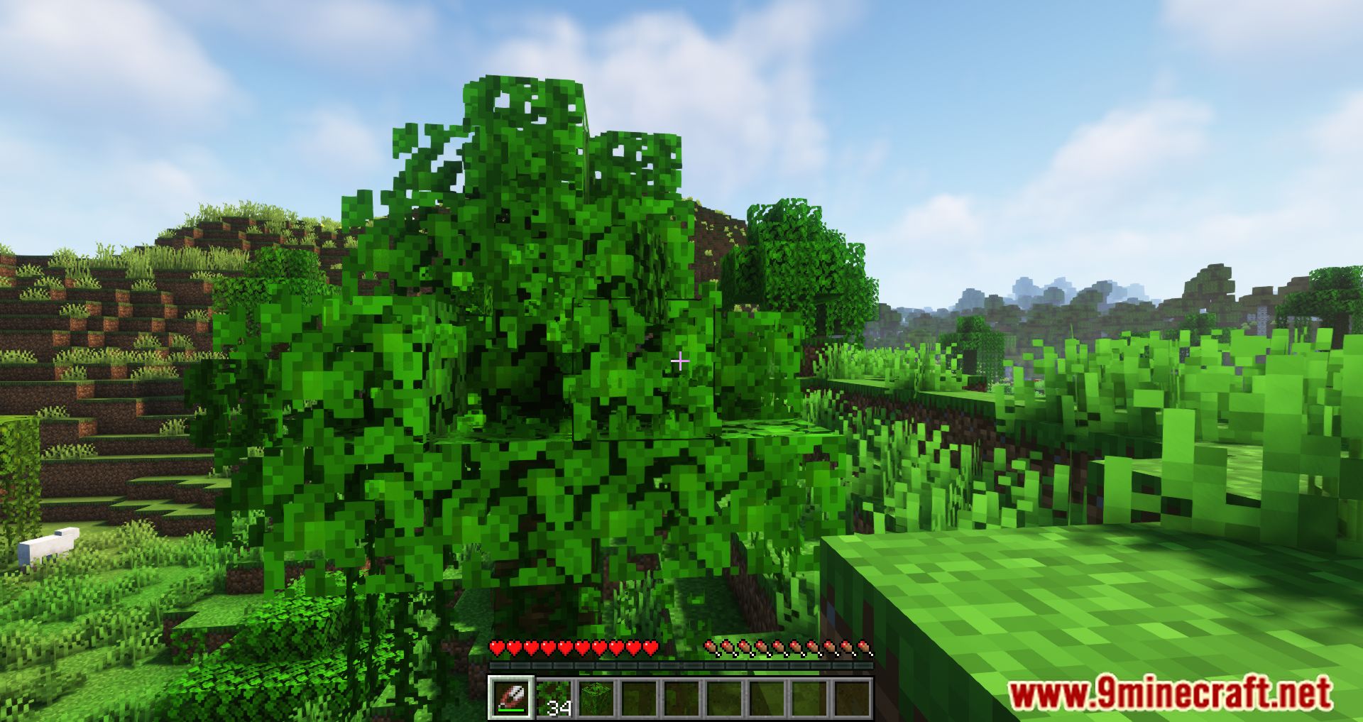 Vine Collector Mod (1.20.4, 1.19.2) - Easier To Harvest Vines 9