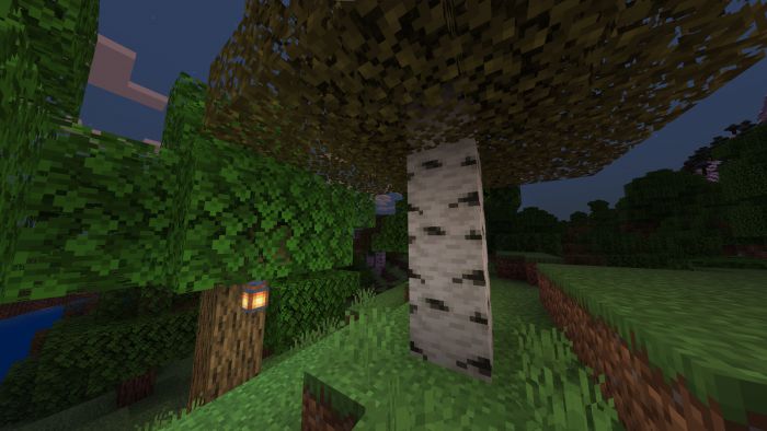 Better Birch Leaves Texture Pack (1.20, 1.19) - MCPE/Bedrock 2