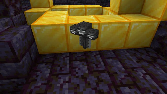 Allay to Wither Texture Pack (1.19) - MCPE/Bedrock 3