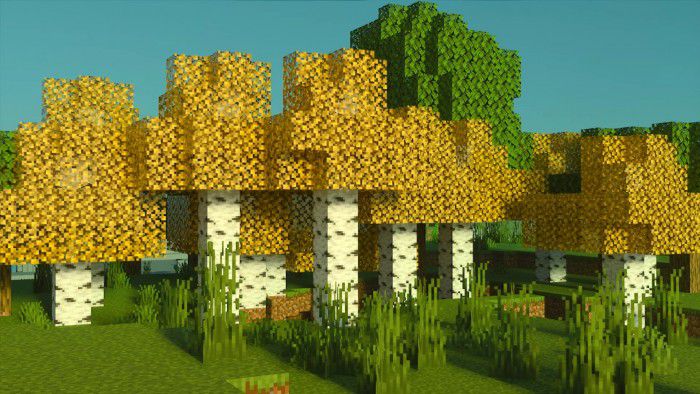 Birch Plus+ Texture Pack (1.20, 1.19) - MCPE/Bedrock 3