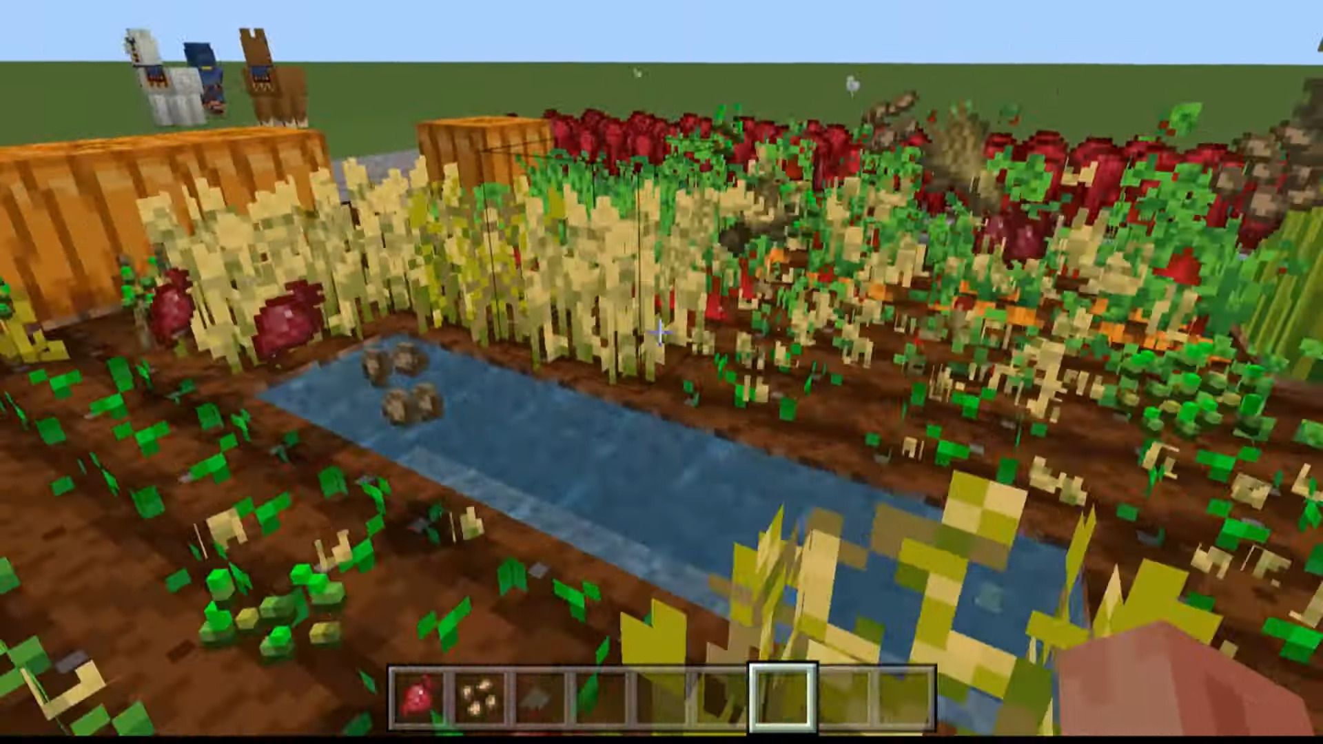 Right-Click Harvest Addon (1.20, 1.19) - MCPE/Bedrock Mod 4