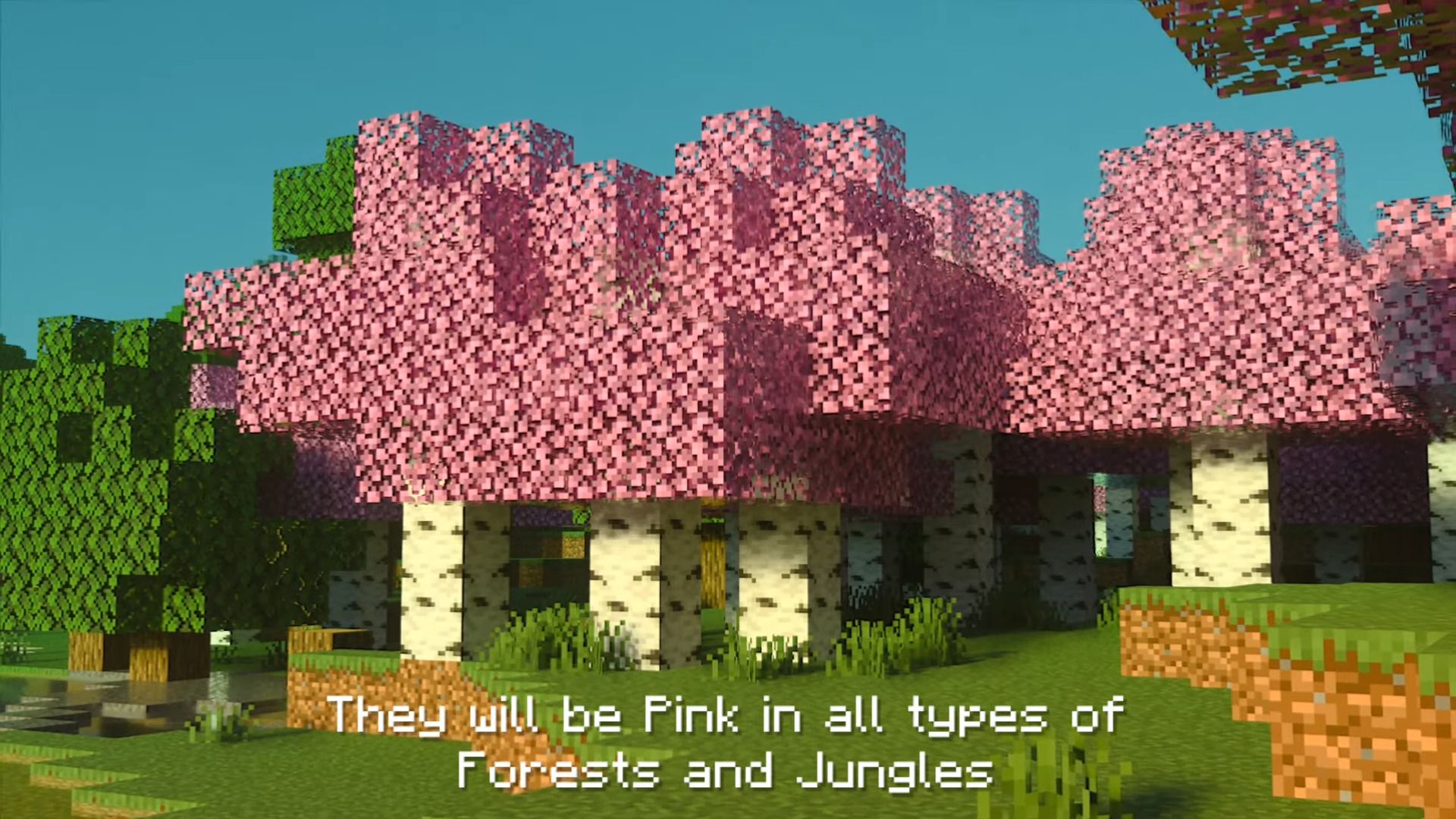 Birch Plus+ Texture Pack (1.20, 1.19) - MCPE/Bedrock 8