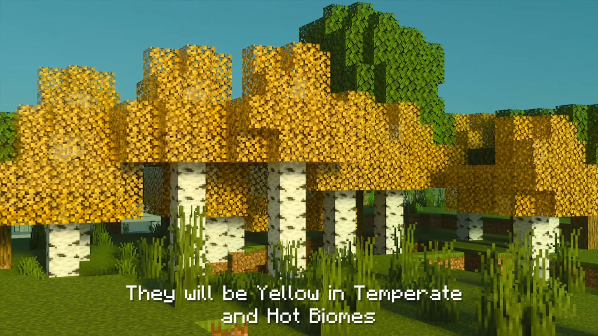 Birch Plus+ Texture Pack (1.20, 1.19) - MCPE/Bedrock 9