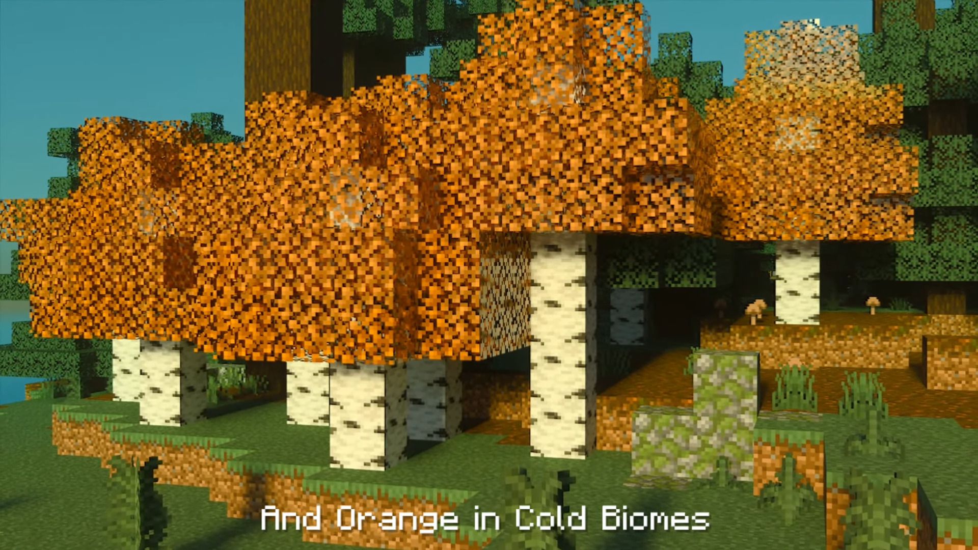 Birch Plus+ Texture Pack (1.20, 1.19) - MCPE/Bedrock 10