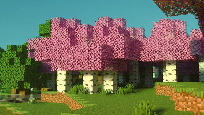 Birch Plus+ Texture Pack (1.20, 1.19) - MCPE/Bedrock 5