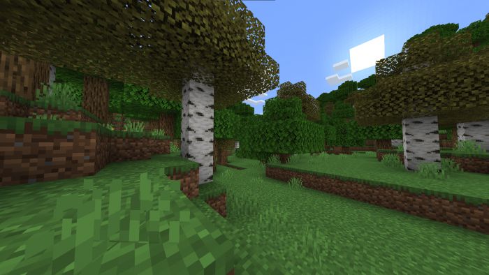 Better Birch Leaves Texture Pack (1.20, 1.19) - MCPE/Bedrock 6