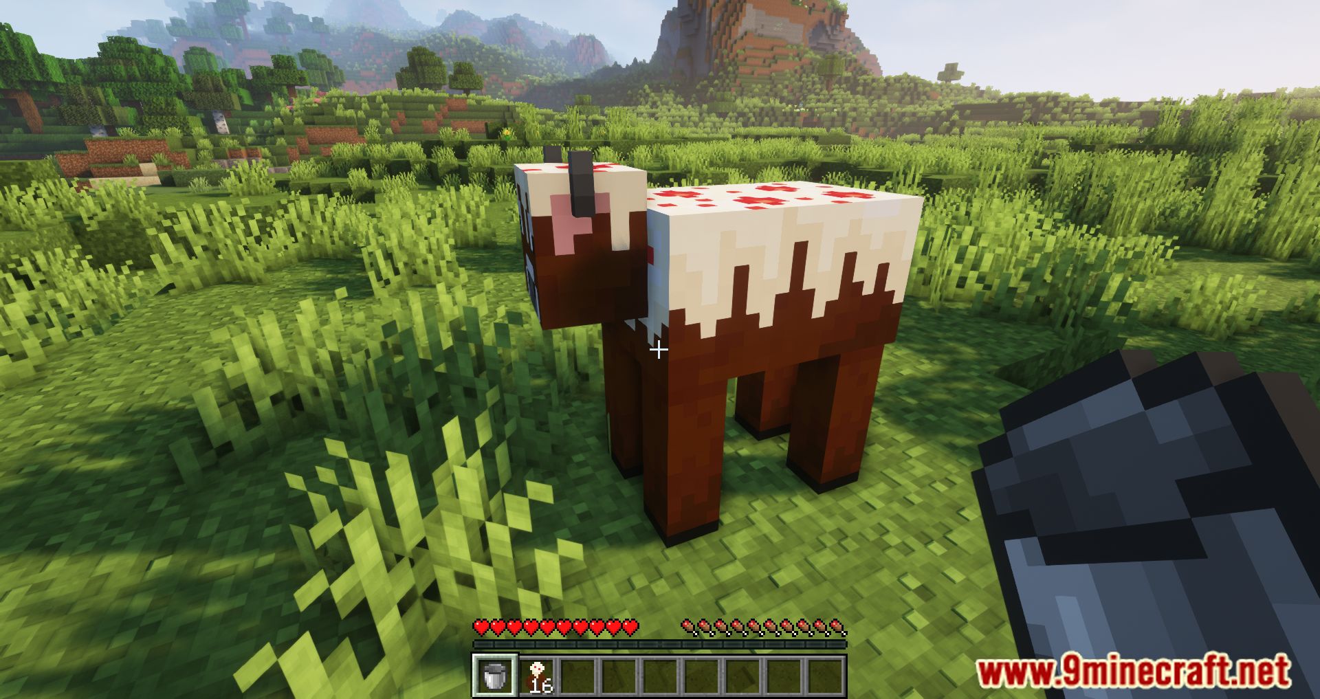 Cake Cow Mod (1.19.4, 1.18.2) - Its Not Milk, its Cake Cow!! 11