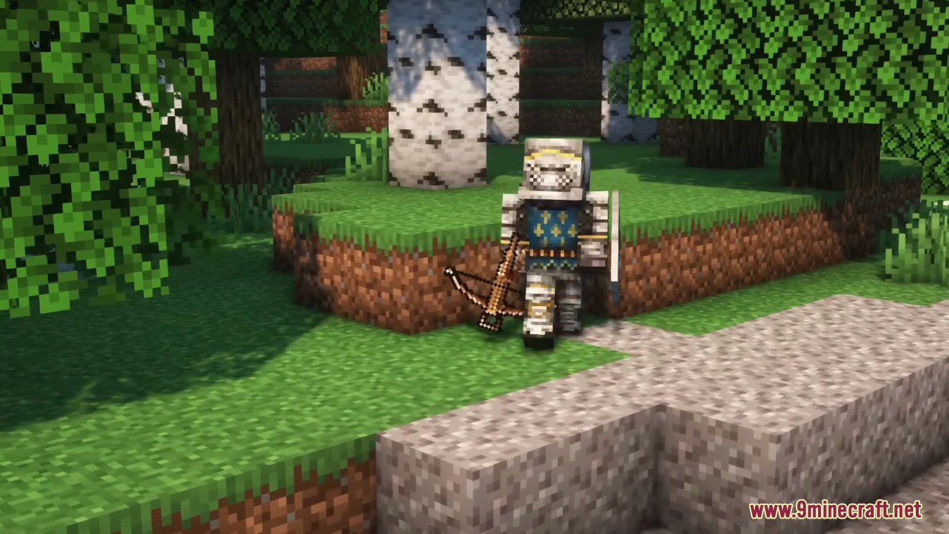 Conquest's Medieval Armors and Weapons Mod (1.18.2) - Medieval Times 7