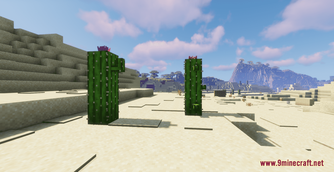 Desert+ Resource Pack (1.20.6, 1.20.1) - Texture Pack 3